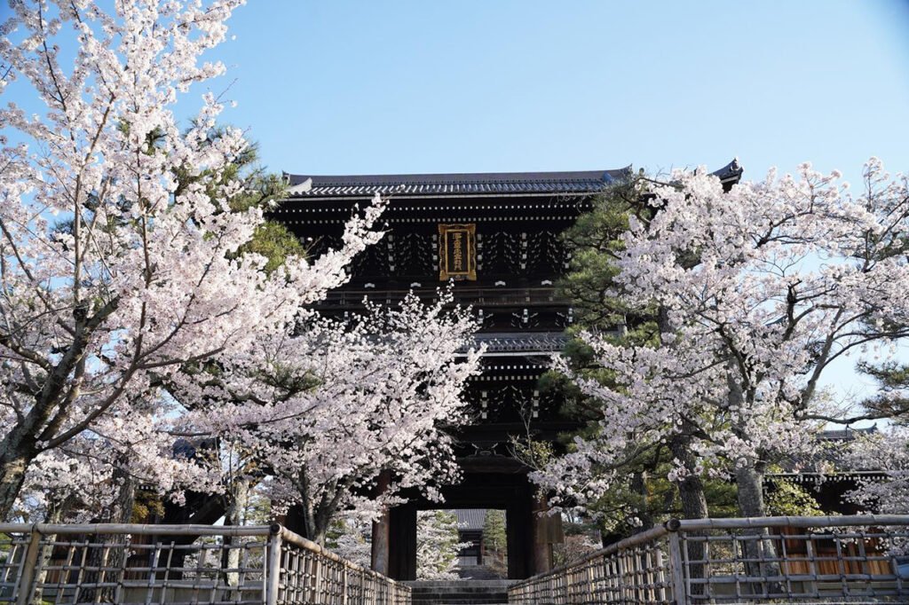⛩️ 천조산 연화원 광명사(텐쇼잔 렌게인 코묘지), 정토종 대본산 이미지 10